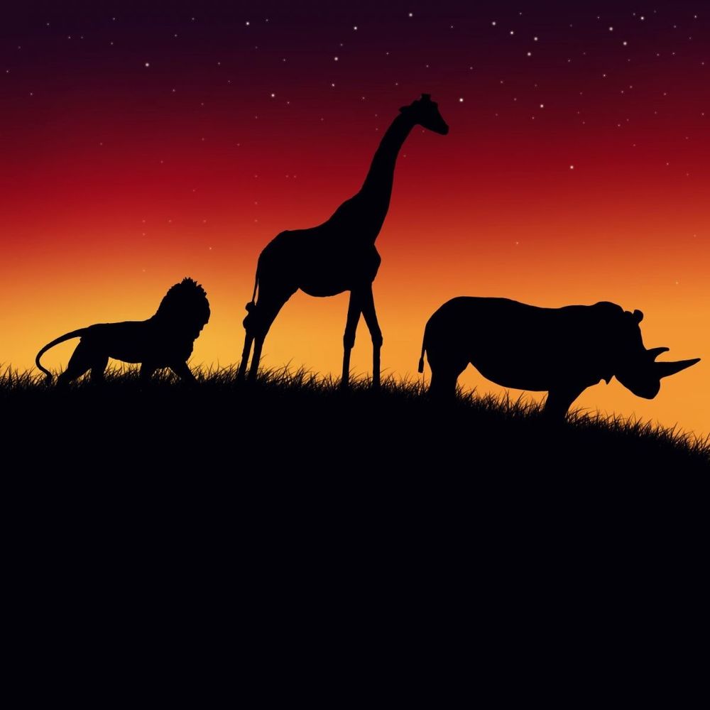 Meet your Posher, Crys